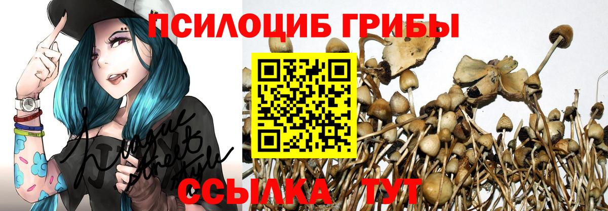 Галлюциногенные грибы Psilocybe Уфа